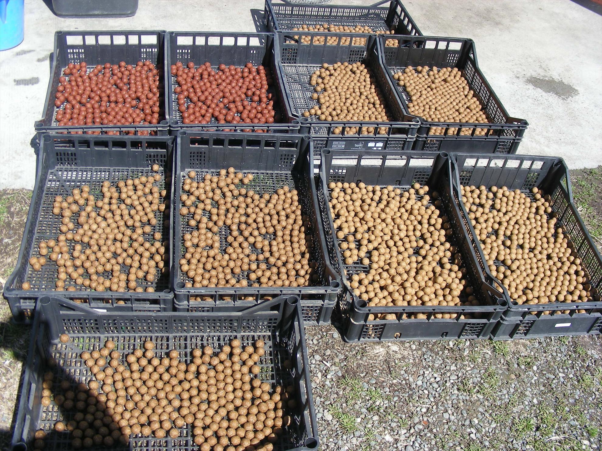 Pregatiri de primavara - dscn9878.JPG